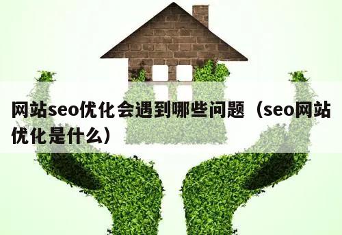 网站seo优化会遇到哪些问题（seo网站优化是什么）
