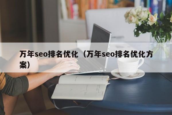 万年seo排名优化（万年seo排名优化方案）
