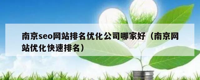 南京seo网站排名优化公司哪家好（南京网站优化快速排名）