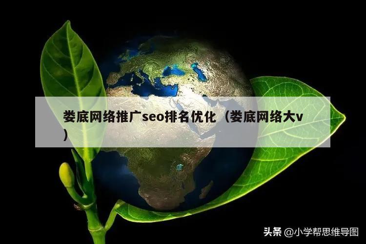 娄底网络推广seo排名优化（娄底网络大v）