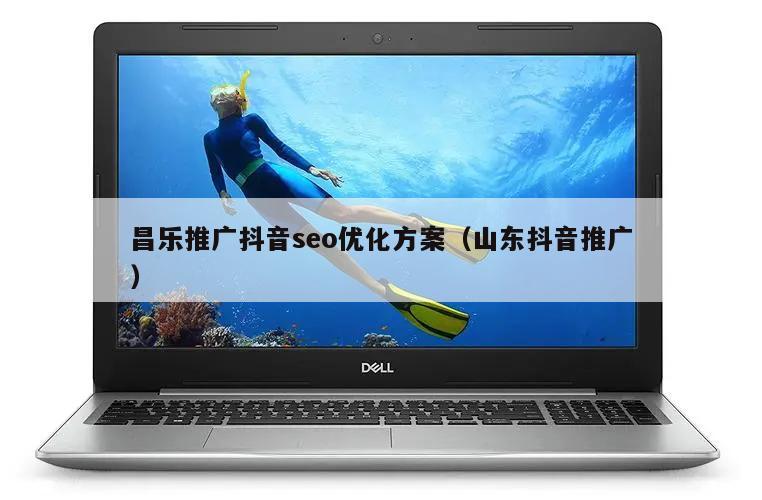 昌乐推广抖音seo优化方案（山东抖音推广）
