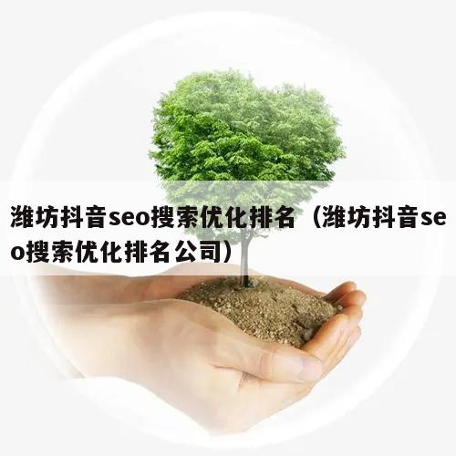 潍坊抖音seo搜索优化排名（潍坊抖音seo搜索优化排名公司）