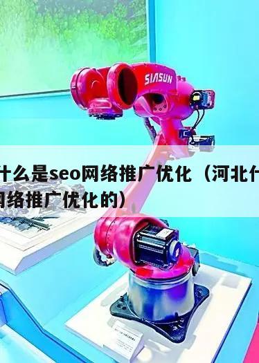河北什么是seo网络推广优化（河北什么是seo网络推广优化的）
