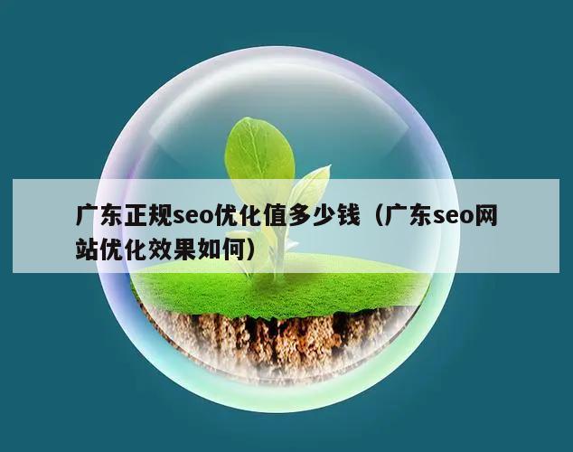 广东正规seo优化值多少钱（广东seo网站优化效果如何）