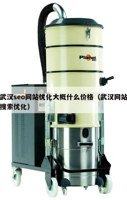 武汉seo网站优化大概什么价格（武汉网站搜索优化）