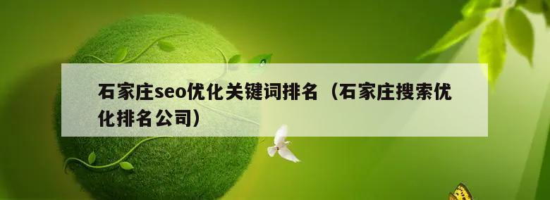石家庄seo优化关键词排名（石家庄搜索优化排名公司）