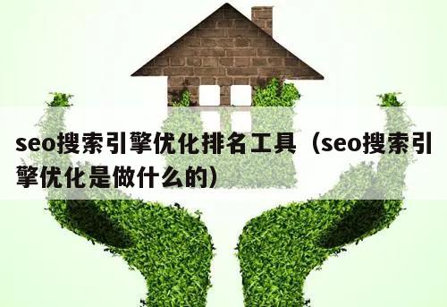 seo搜索引擎优化排名工具（seo搜索引擎优化是做什么的）