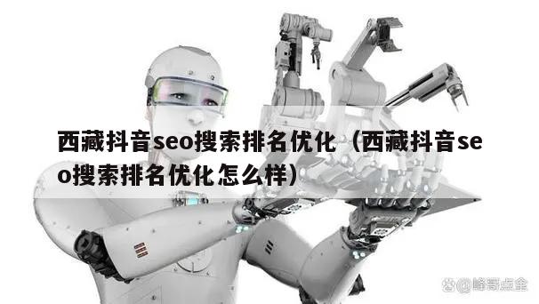 西藏抖音seo搜索排名优化（西藏抖音seo搜索排名优化怎么样）