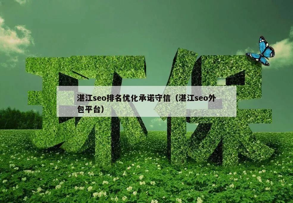 湛江seo排名优化承诺守信（湛江seo外包平台）