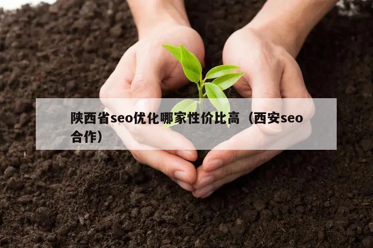 陕西省seo优化哪家性价比高（西安seo合作）