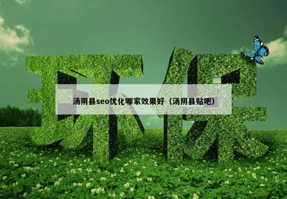 汤阴县seo优化哪家效果好（汤阴县贴吧）