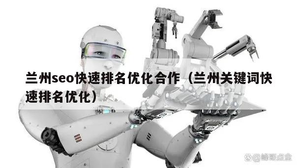兰州seo快速排名优化合作（兰州关键词快速排名优化）