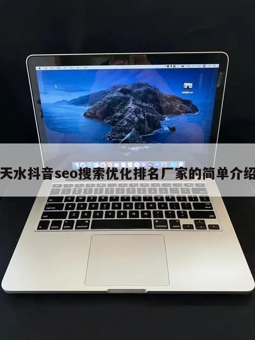 天水抖音seo搜索优化排名厂家的简单介绍