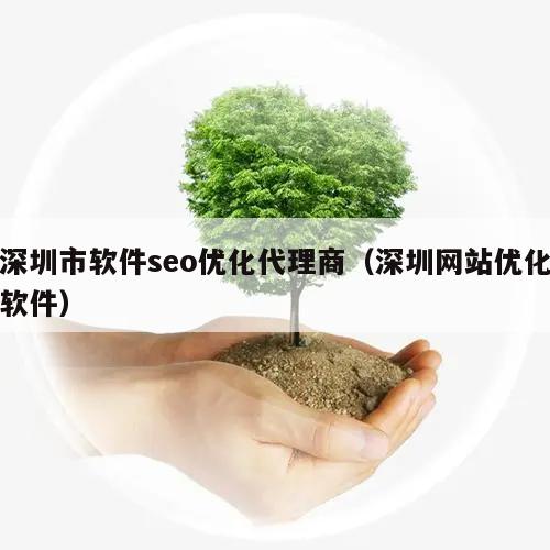 深圳市软件seo优化代理商（深圳网站优化软件）