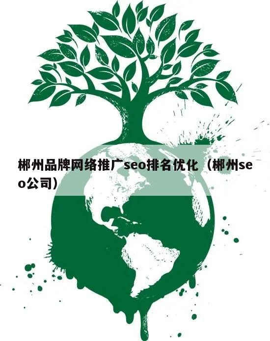 郴州品牌网络推广seo排名优化（郴州seo公司）