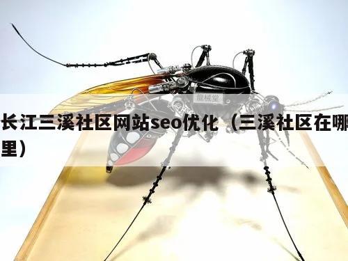 长江三溪社区网站seo优化（三溪社区在哪里）