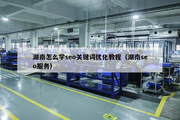 湖南怎么学seo关键词优化教程（湖南seo服务）