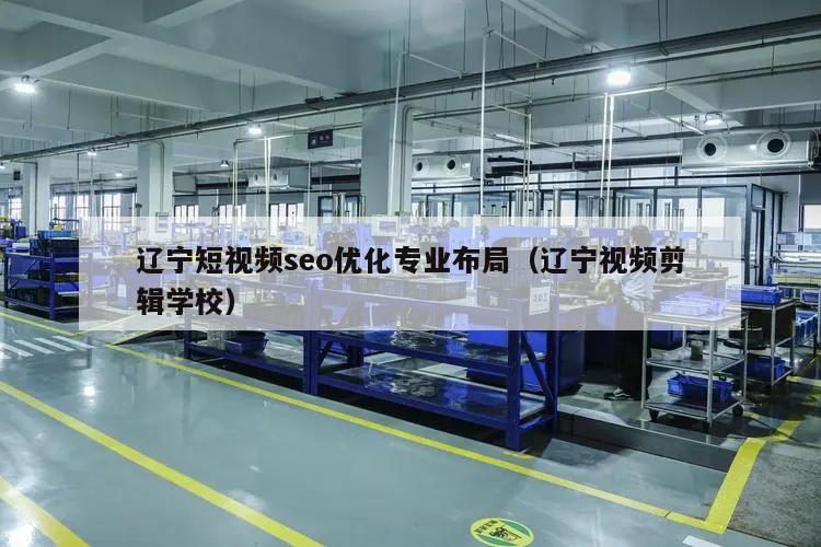 辽宁短视频seo优化专业布局（辽宁视频剪辑学校）