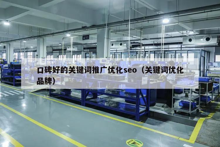 口碑好的关键词推广优化seo（关键词优化品牌）