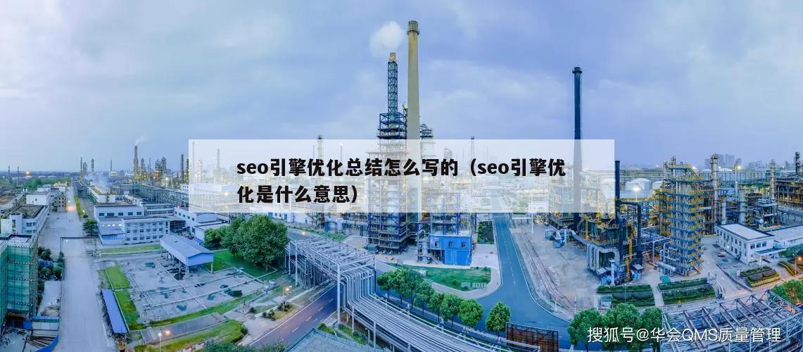 seo引擎优化总结怎么写的（seo引擎优化是什么意思）