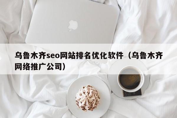 乌鲁木齐seo网站排名优化软件（乌鲁木齐网络推广公司）