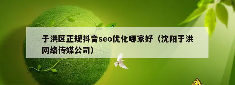 于洪区正规抖音seo优化哪家好（沈阳于洪网络传媒公司）