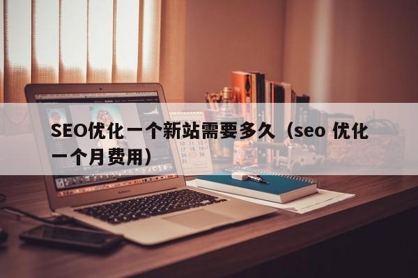 SEO优化一个新站需要多久（seo 优化一个月费用）