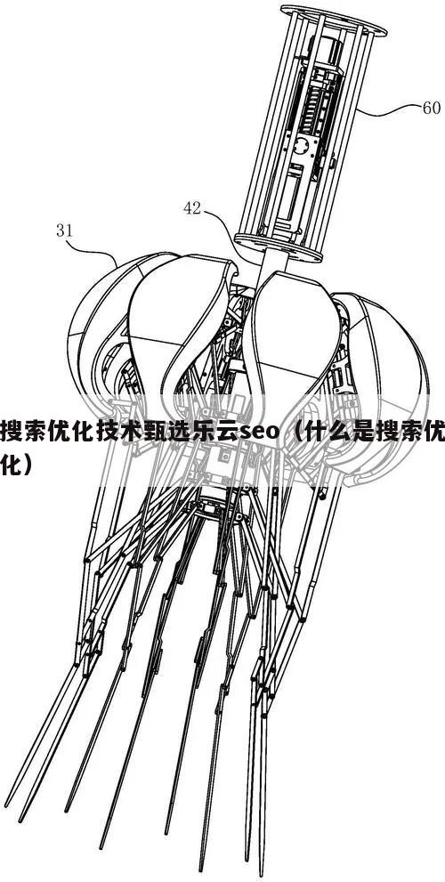 搜索优化技术甄选乐云seo（什么是搜索优化）