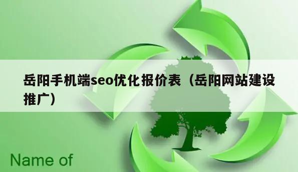 岳阳手机端seo优化报价表(岳阳网站建设推广)