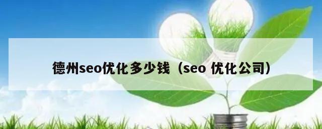 德州seo优化多少钱（seo 优化公司）