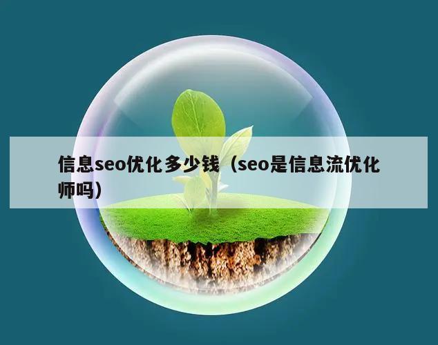 信息seo优化多少钱（seo是信息流优化师吗）