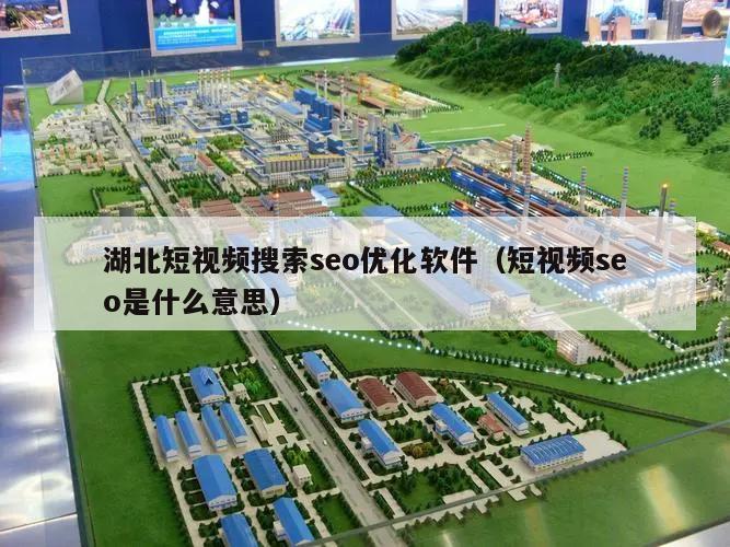 湖北短视频搜索seo优化软件（短视频seo是什么意思）