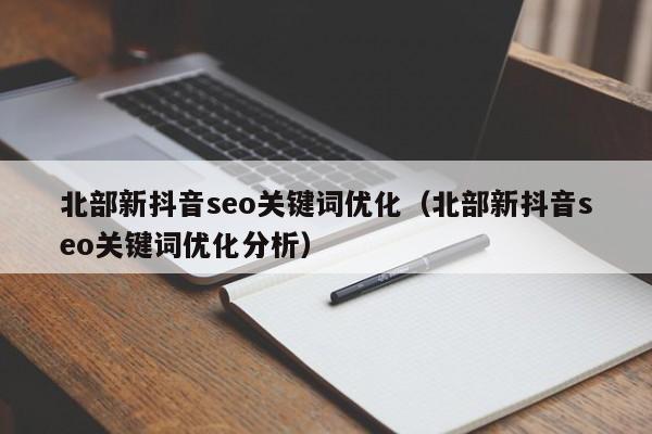 北部新抖音seo关键词优化（北部新抖音seo关键词优化分析）
