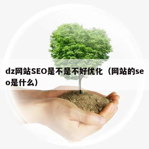 dz网站SEO是不是不好优化（网站的seo是什么）