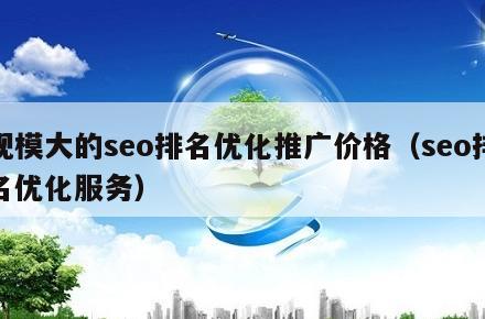 规模大的seo排名优化推广价格（seo排名优化服务）