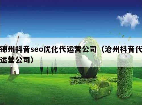 锦州抖音seo优化代运营公司(沧州抖音代运营公司)