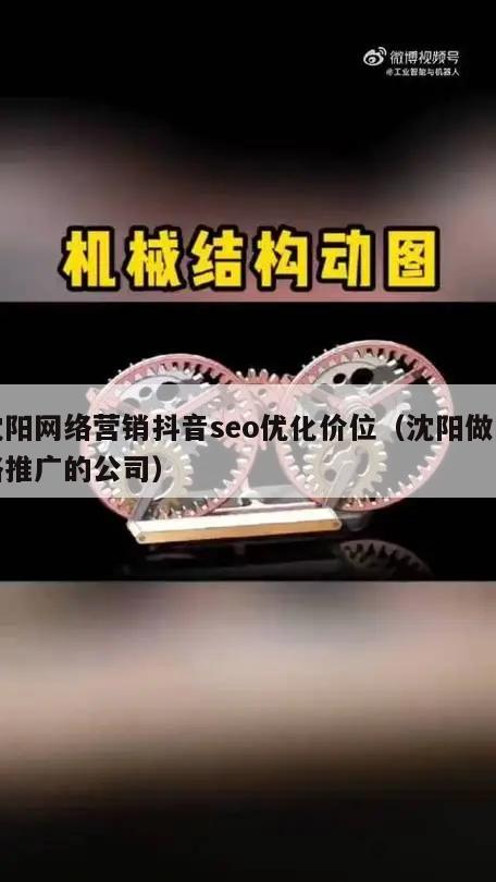 沈阳网络营销抖音seo优化价位（沈阳做网络推广的公司）