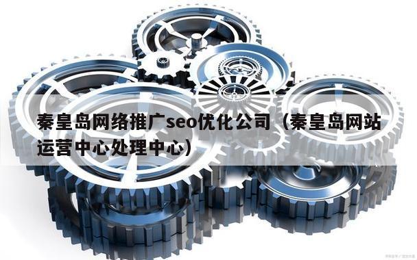 秦皇岛网络推广seo优化公司（秦皇岛网站运营中心处理中心）