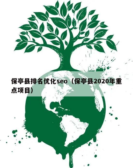保亭县排名优化seo（保亭县2020年重点项目）