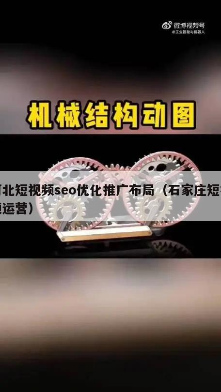 河北短视频seo优化推广布局（石家庄短视频运营）