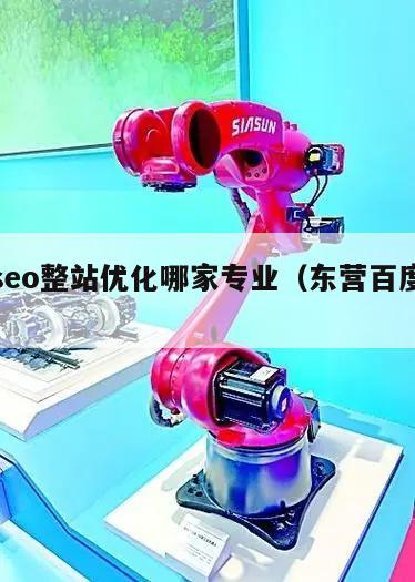 东营seo整站优化哪家专业（东营百度贴吧）
