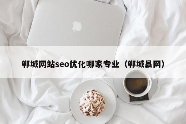 郸城网站seo优化哪家专业（郸城县网）