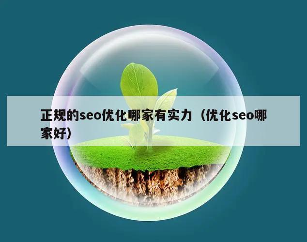 正规的seo优化哪家有实力（优化seo哪家好）