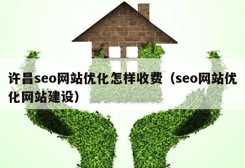 许昌seo网站优化怎样收费(seo网站优化网站建设)